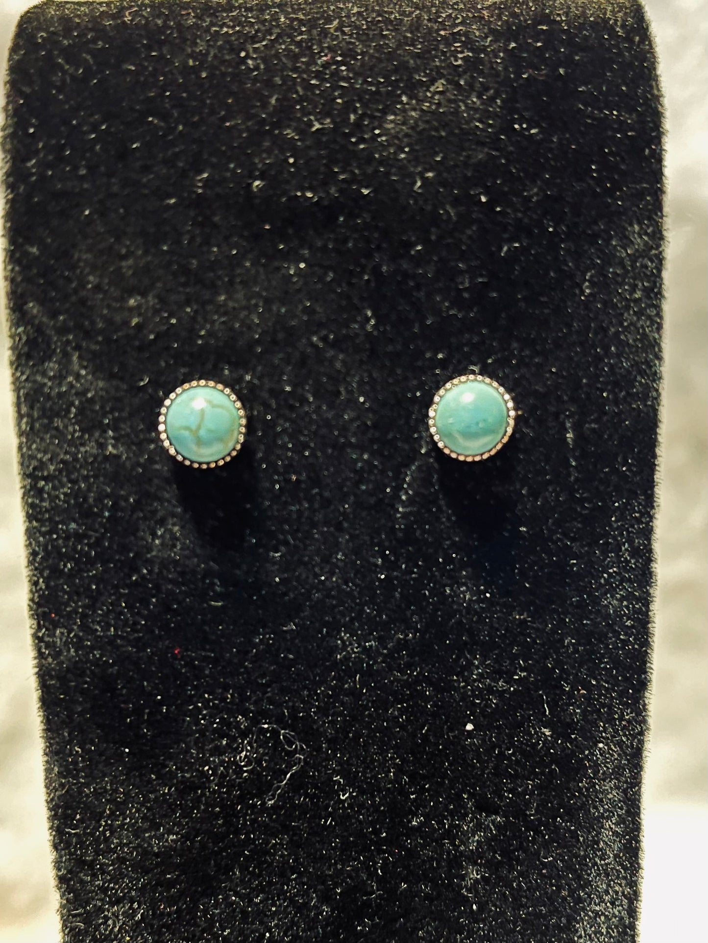 Turquoise Bar Necklace and Earring Set